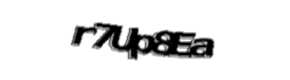 Security check image, please type the characters shown